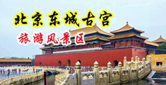 日本家庭荡妇按摩幻想电影中国北京-东城古宫旅游风景区